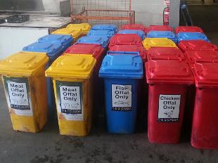 dg cassa bins